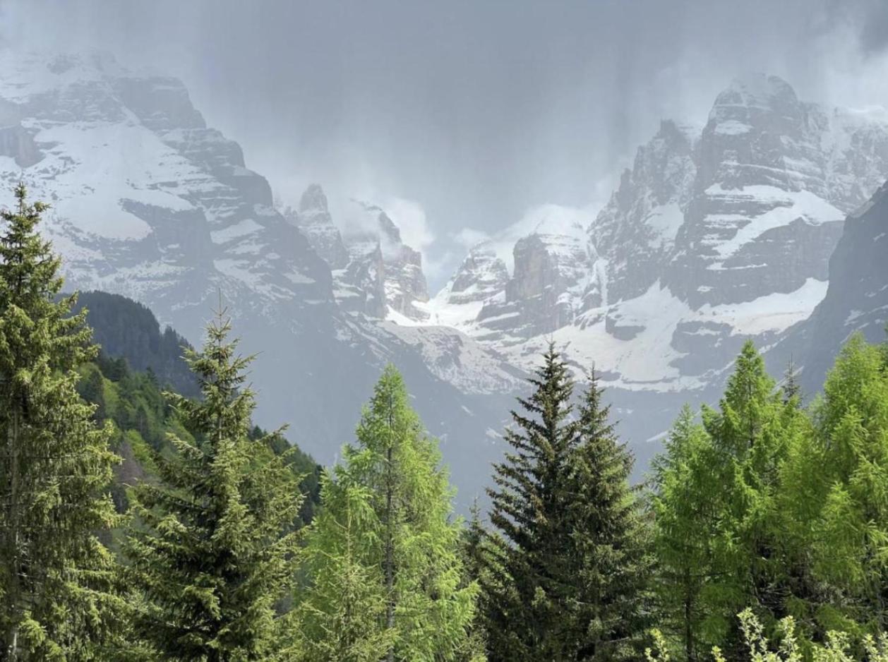 Апартаменты Menz Campiglio Мадонна-ди-Кампильо Экстерьер фото