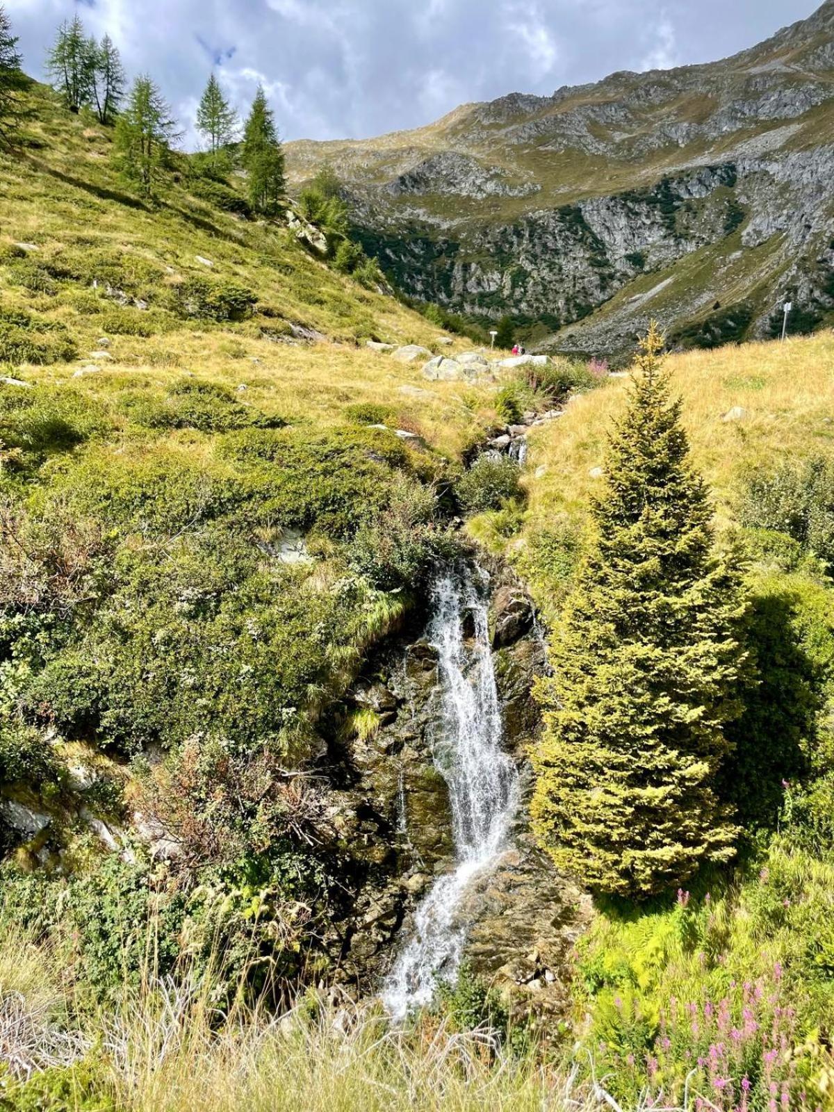 Апартаменты Menz Campiglio Мадонна-ди-Кампильо Экстерьер фото